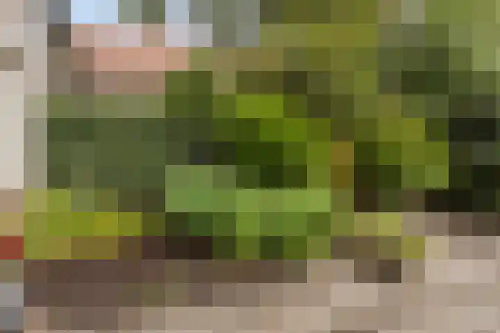 Braamkamp 155 Zutphen thumbnail 31