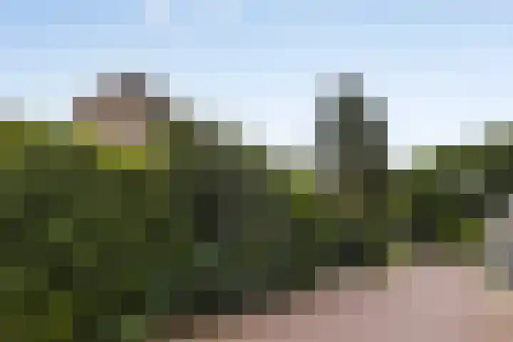 Braamkamp 155 Zutphen thumbnail 33