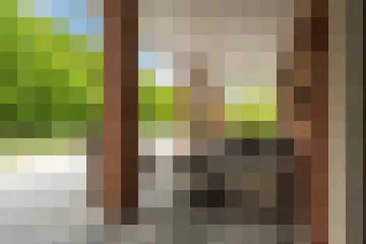Braamkamp 155 Zutphen thumbnail 5