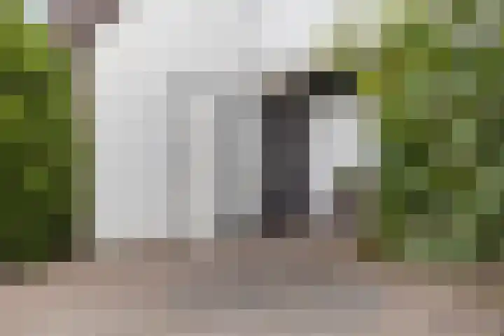 Braamkamp 155 Zutphen thumbnail 5