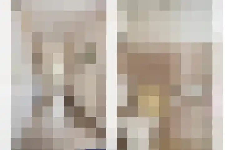 Braamkamp 155 Zutphen thumbnail 6