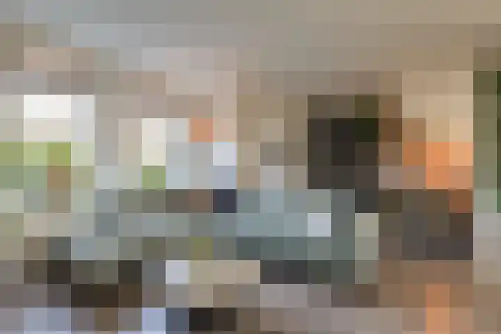 Braamkamp 155 Zutphen thumbnail 7