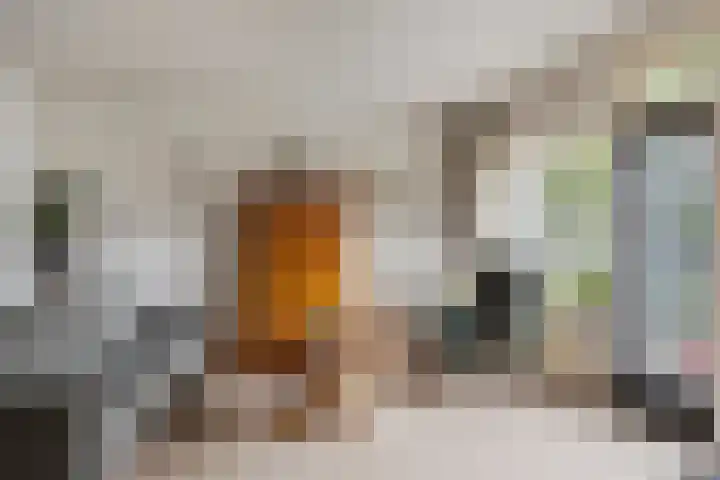 Braamkamp 155 Zutphen thumbnail 9