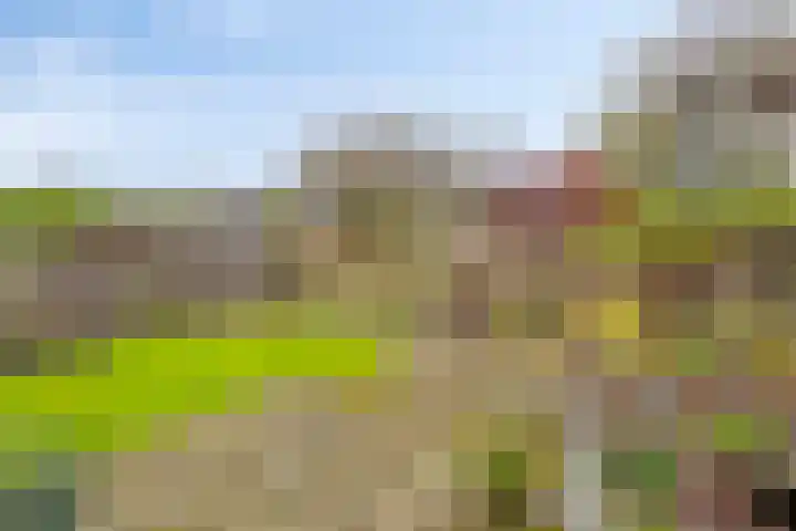 Braamkamp 161 Zutphen thumbnail 37