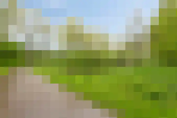 Braamkamp 161 Zutphen thumbnail 43