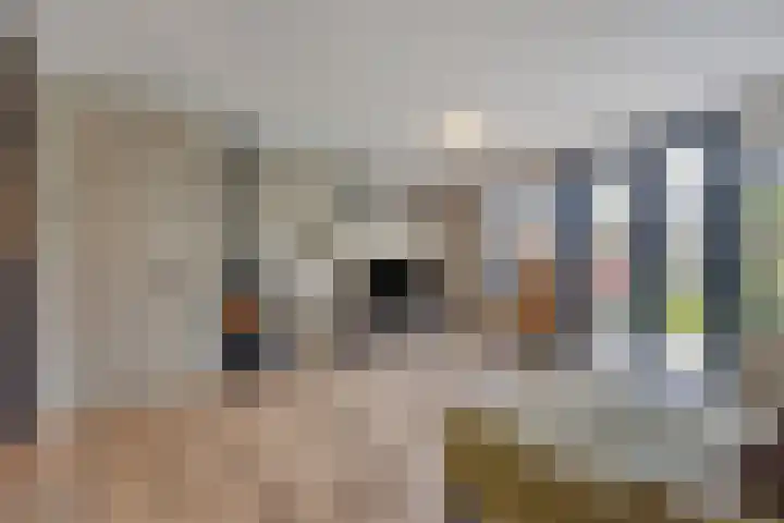 Braamkamp 161 Zutphen thumbnail 5