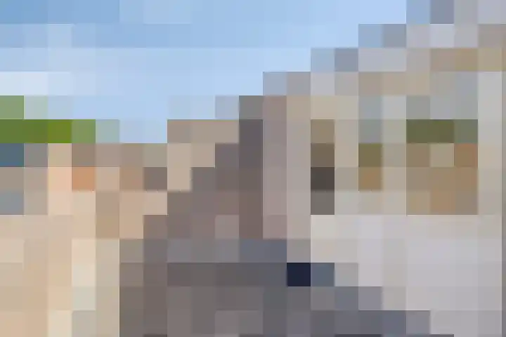 Braamkamp 177 Zutphen thumbnail 32
