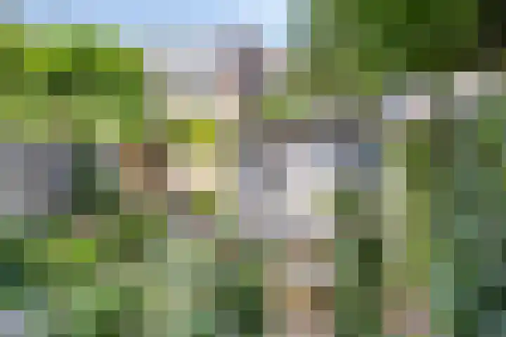 Braamkamp 177 Zutphen thumbnail 33