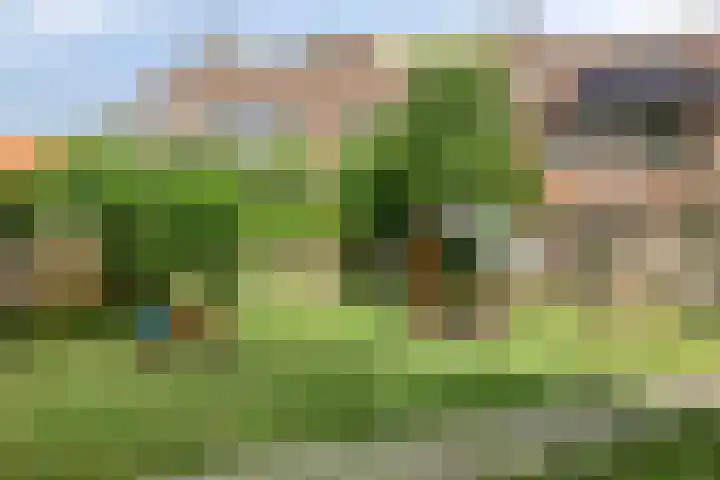 Braamkamp 177 Zutphen thumbnail 34
