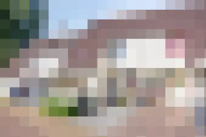 Braamkamp 177 Zutphen thumbnail 38