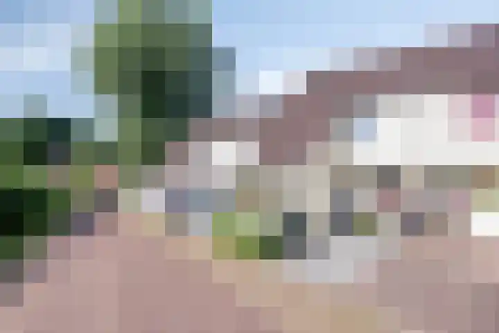 Braamkamp 177 Zutphen thumbnail 39