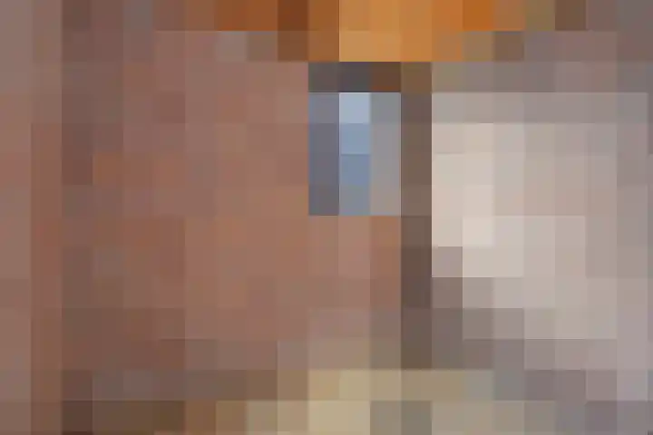 Braamkamp 477 Zutphen thumbnail 27