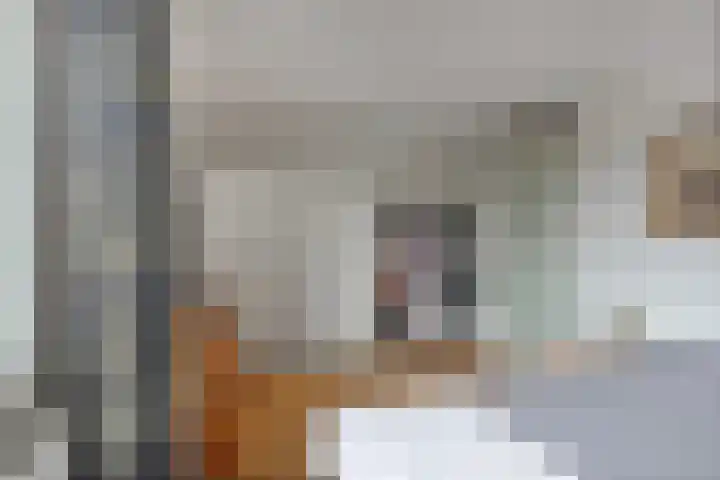 Braamkamp 86 Zutphen thumbnail 15