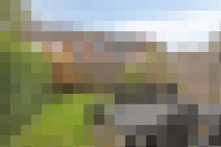 Braamkamp 86 Zutphen thumbnail 26