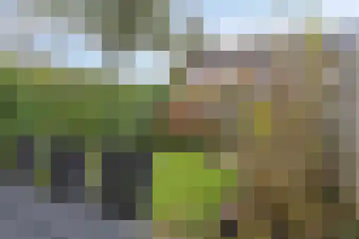 Braamkamp 86 Zutphen thumbnail 27