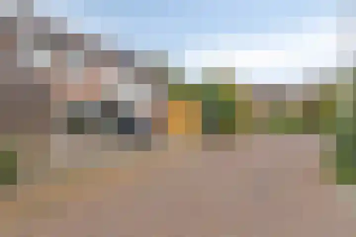 Braamkamp 86 Zutphen thumbnail 32
