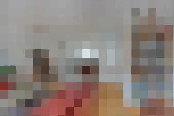 Braamkamp 86 Zutphen thumbnail 7
