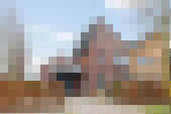 Braamsluiper 13 Olst
