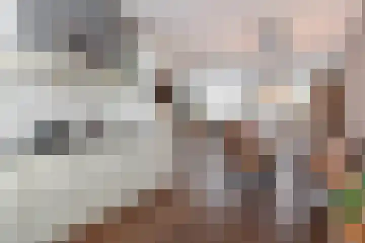 Braamsluiper 13 Olst thumbnail 12
