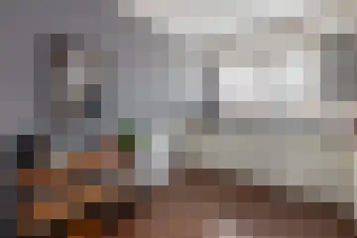Braamsluiper 13 Olst thumbnail 14