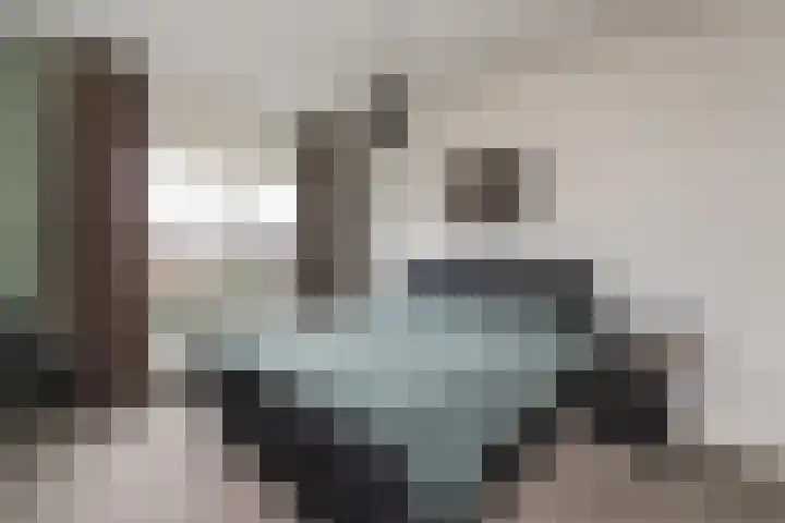 Braamsluiper 13 Olst thumbnail 16