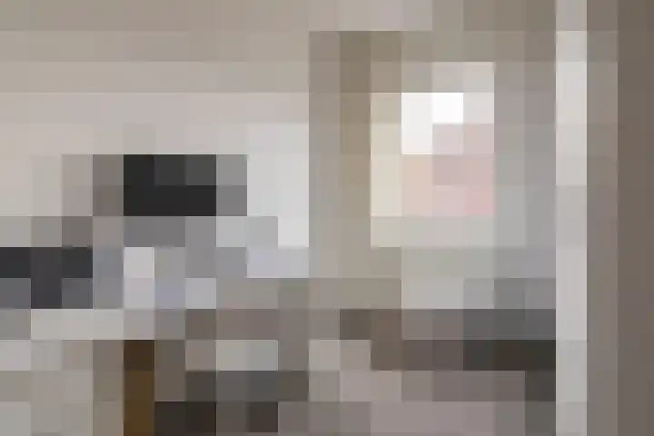 Braamsluiper 13 Olst thumbnail 18
