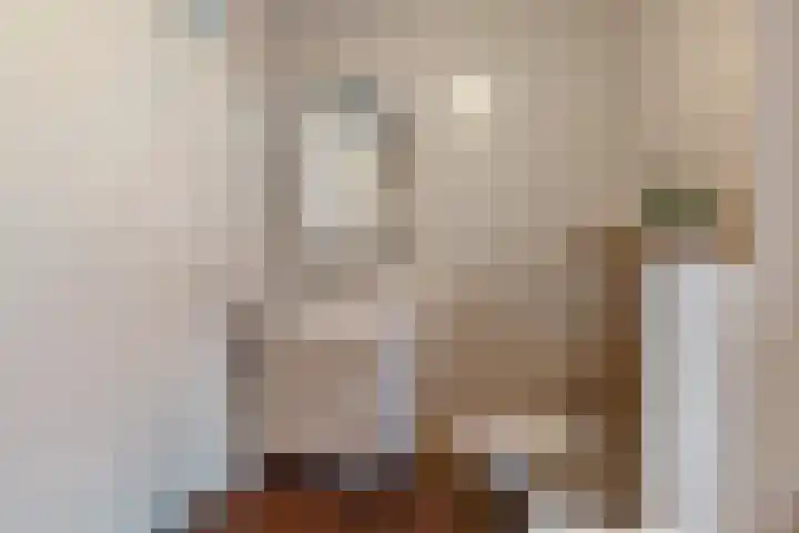 Braamsluiper 13 Olst thumbnail 22