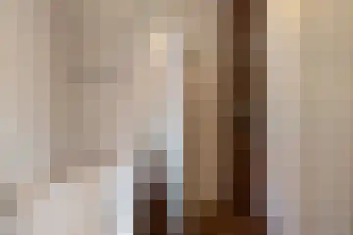 Braamsluiper 13 Olst thumbnail 23