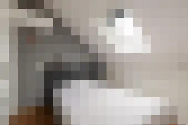 Braamsluiper 13 Olst thumbnail 26