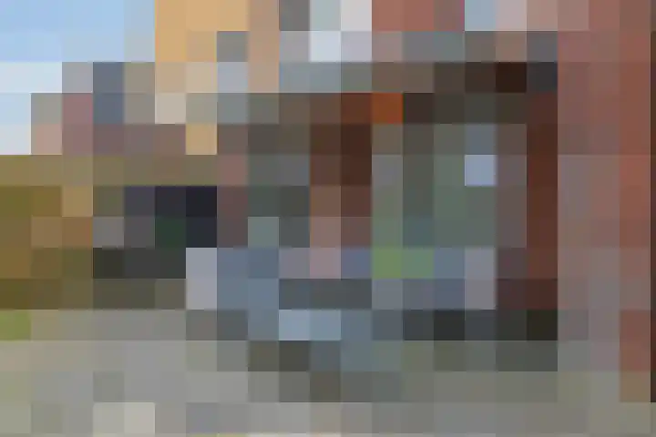 Braamsluiper 13 Olst thumbnail 30