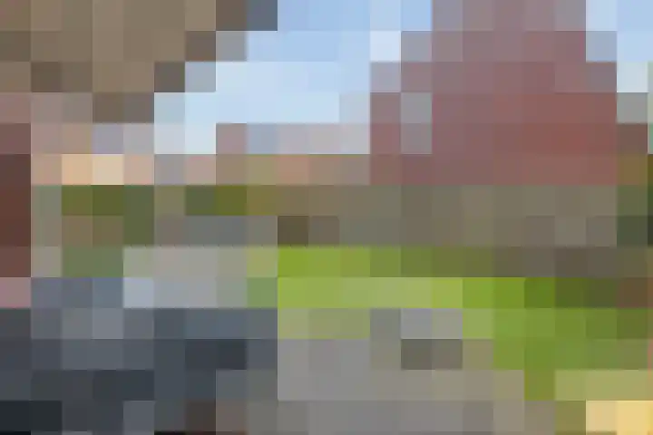 Braamsluiper 13 Olst thumbnail 31