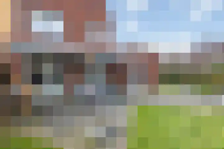 Braamsluiper 13 Olst thumbnail 32