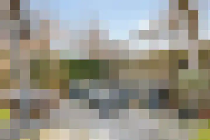 Braamsluiper 13 Olst thumbnail 33