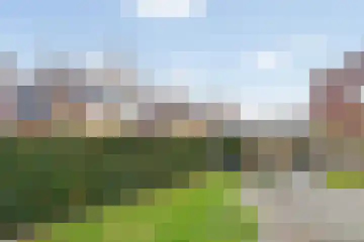 Braamsluiper 13 Olst thumbnail 36