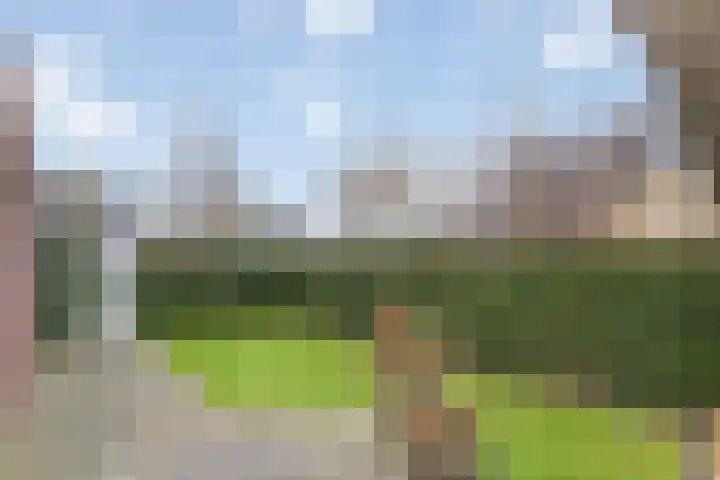 Braamsluiper 13 Olst thumbnail 37