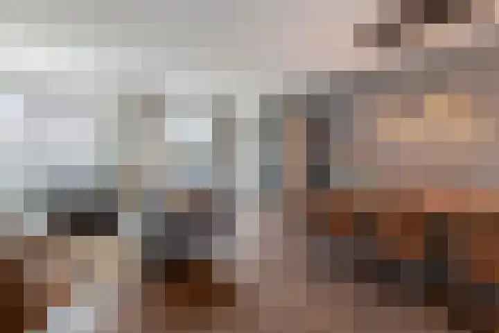 Braamsluiper 13 Olst thumbnail 9