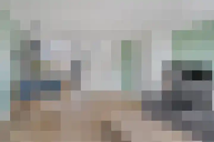 Braamstukken 126 Eelde thumbnail 14