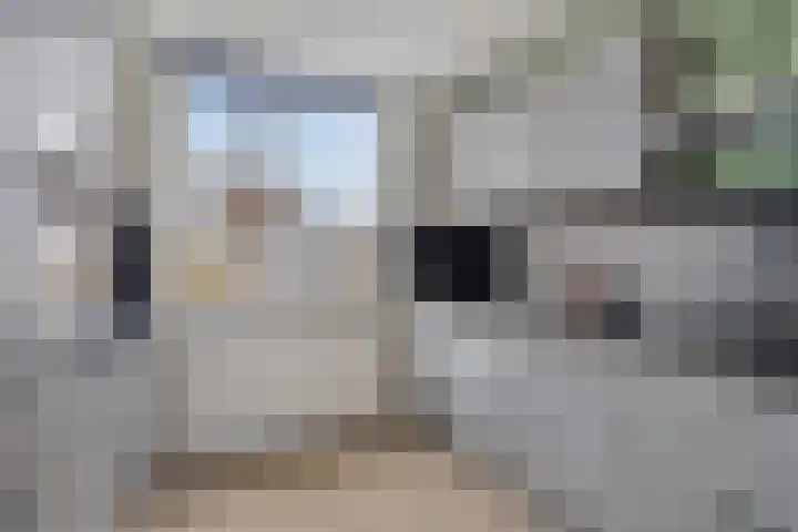 Braamstukken 126 Eelde thumbnail 19