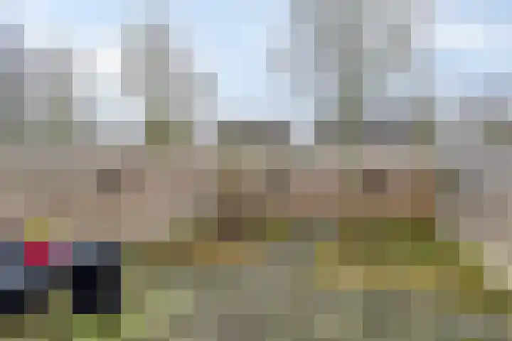 Braamstukken 126 Eelde thumbnail 30