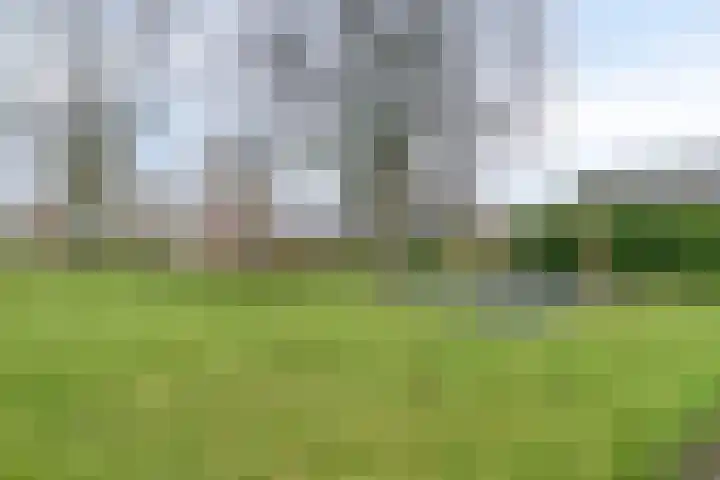 Braamstukken 126 Eelde thumbnail 35