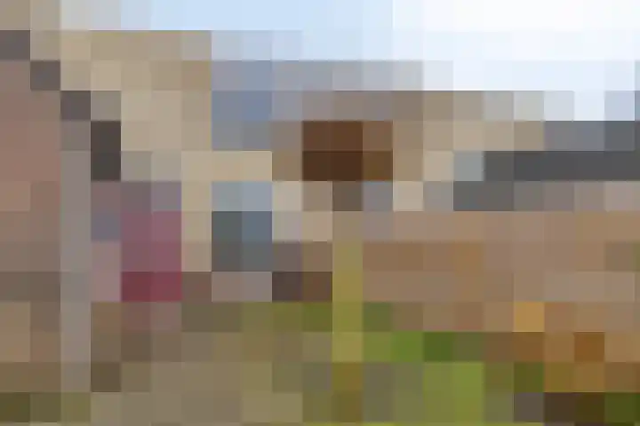 Braamstukken 126 Eelde thumbnail 7