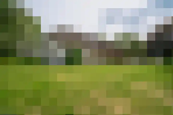 Braamweg 11 Neerkant thumbnail 13