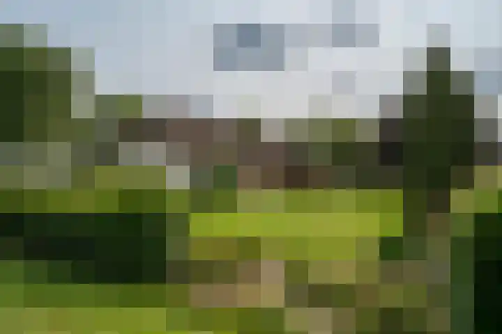 Braamweg 11 Neerkant thumbnail 7