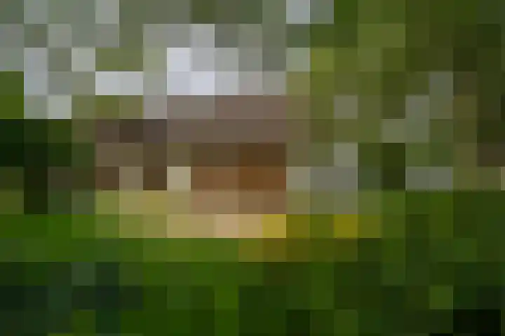 Braamweg 11 Neerkant thumbnail 8