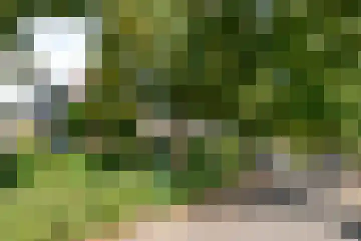 Braamweg 30 Soest thumbnail 26