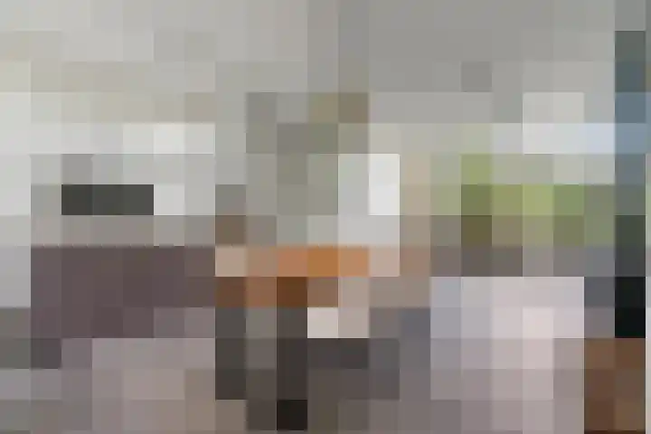 Braamweg 46 Arnhem thumbnail 13