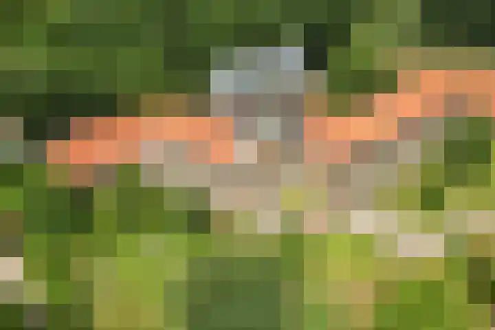 Braamweg 46 Arnhem thumbnail 4