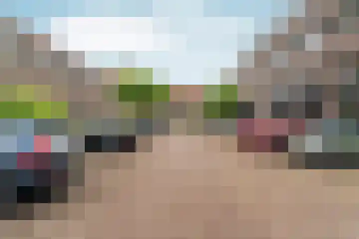 Braamweg 46 Arnhem thumbnail 45