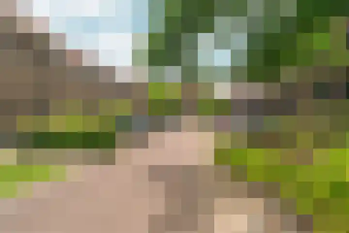 Braamweg 46 Arnhem thumbnail 5