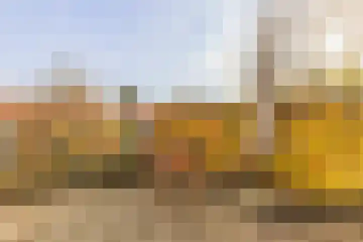 Braamweg 86 Arnhem thumbnail 29